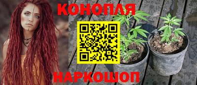 прущие грибы Пушкино
