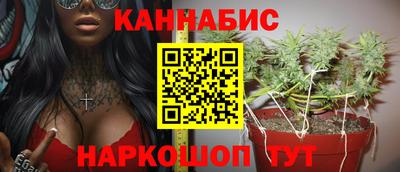 сатива Рязань